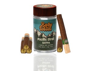 BabyWoods | Pacific Stroll – WoodTip Mini Blunts Top Cola Delivery