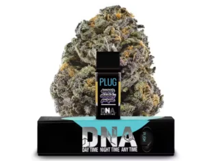 Plug Play | Sugar Daddy Purple THC Pod