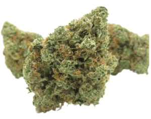 Gasmask OG ~ $120oz