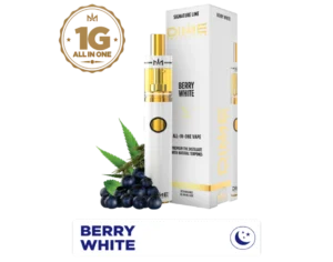 DIME | 1000mg All-in-one ~ Berry White