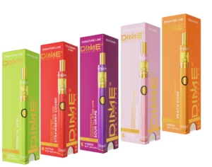 DIME | 1000mg All-in-one ~ Assorted Flavors