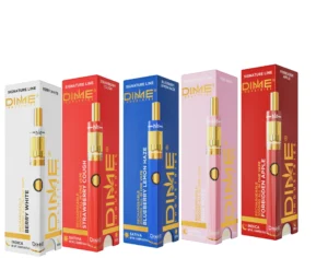 DIME | 2000mg All-in-one ~ Assorted Flavors