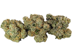 Rolex OG