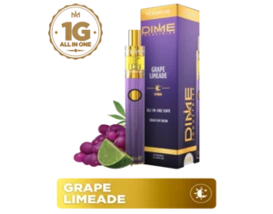 DIME | Live Reserve 1000mg All-in-one ~ Grape Limeade