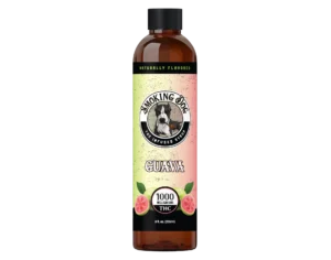 Smoking Dog THC Syrup 1000mg - Guava