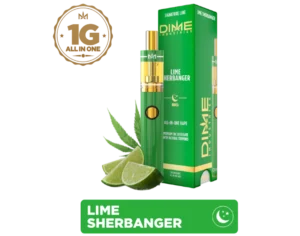 DIME | 1000mg All-in-one ~ Lime Sherbanger