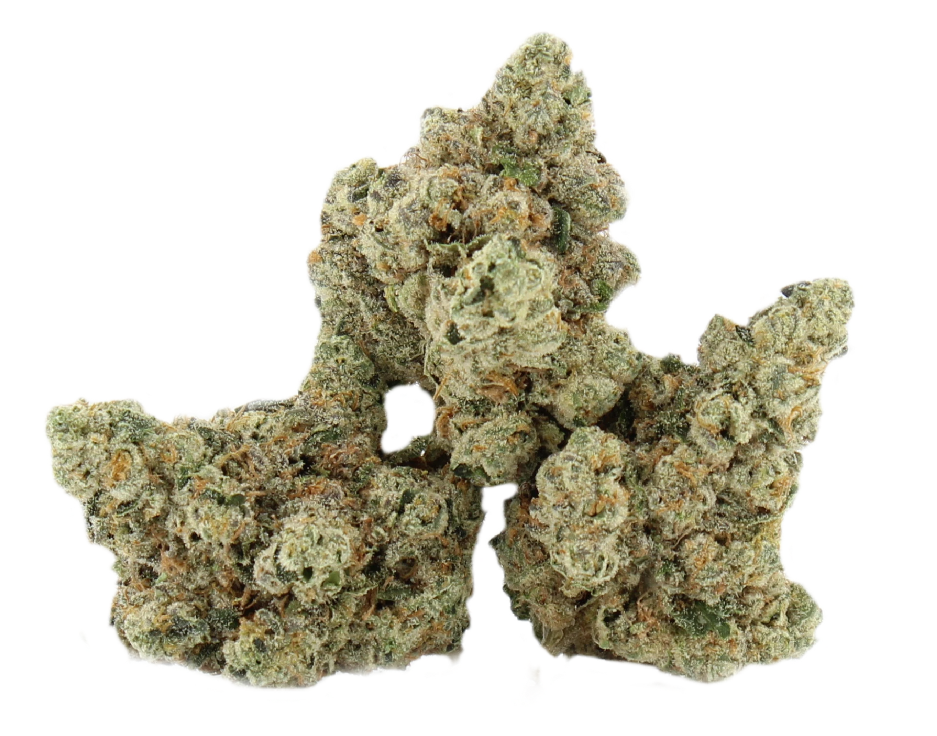 White Mountain Kush