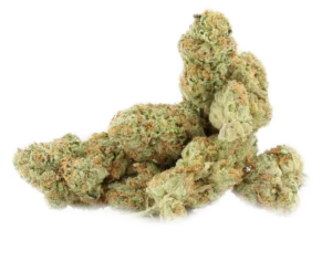 Cactus Cooler ~ $120oz