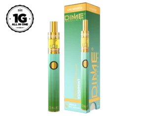 DIME | Live Reserve 1000mg All-in-one ~ Kushmint