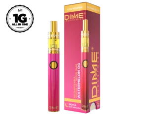 DIME | Live Reserve 1000mg All-in-one ~ Matermelon OG