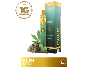 DIME | Live Reserve 1000mg All-in-one ~ Kushmint