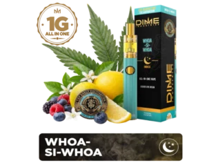 DIME | Live Reserve 1000mg All-in-one ~ Whoa-Si-Whoa