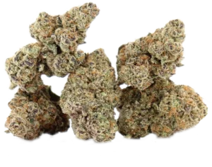 Citrus Sunrise