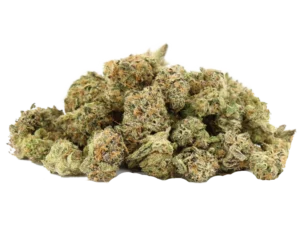 Divine Gelato Smalls ~ $80oz