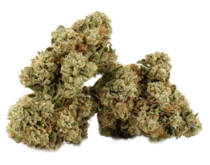 Don Chapo OG
