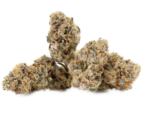 Gold Member | Top Cola Private Reserve