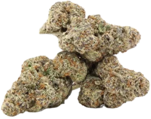 Blue Guava Crack