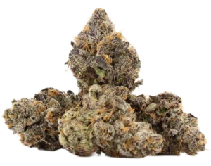 Blue Jedi | Top Cola Private Reserve