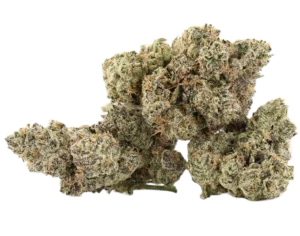 Galactic Starburst
