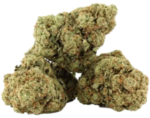 Galactica OG ~ $120oz