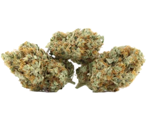 L'Orange | Top Cola Private Reserve