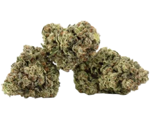 Magnum OG