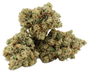 Mamba OG