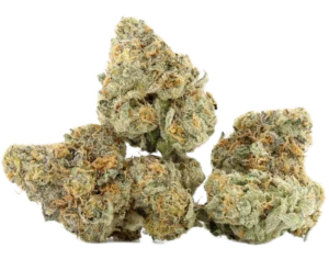 Platinum GSC