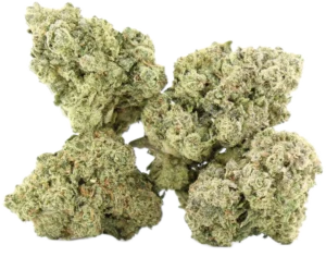 Super Sour Kush