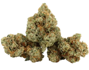 Headbanger OG