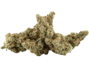 Orange Trainwreck