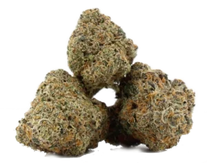 Orange Chem ~ $120