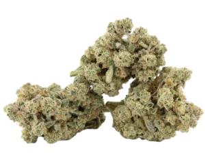 Maui Mac